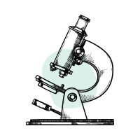 vision_02_2